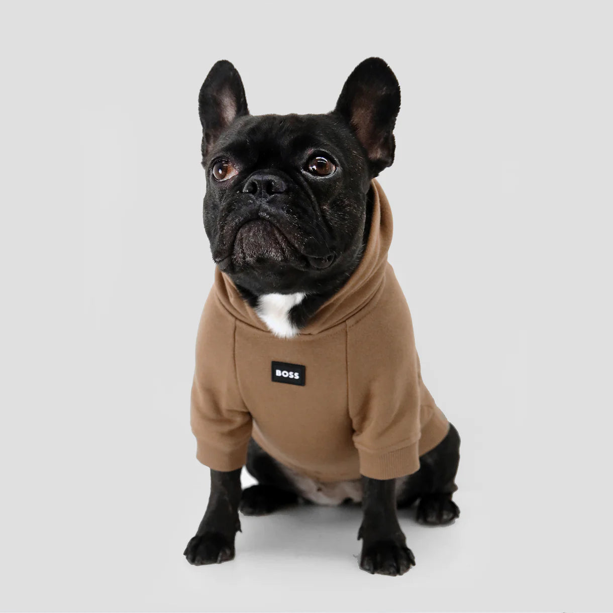 BOSS Logo Hoodie
