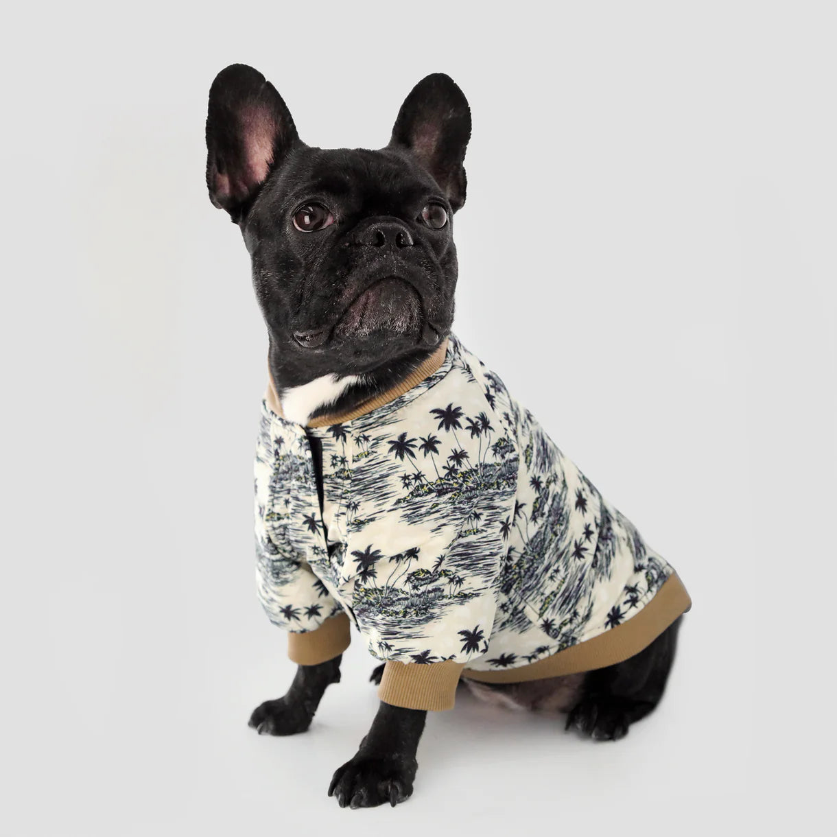 BOSS Velcro Bomber Jacket