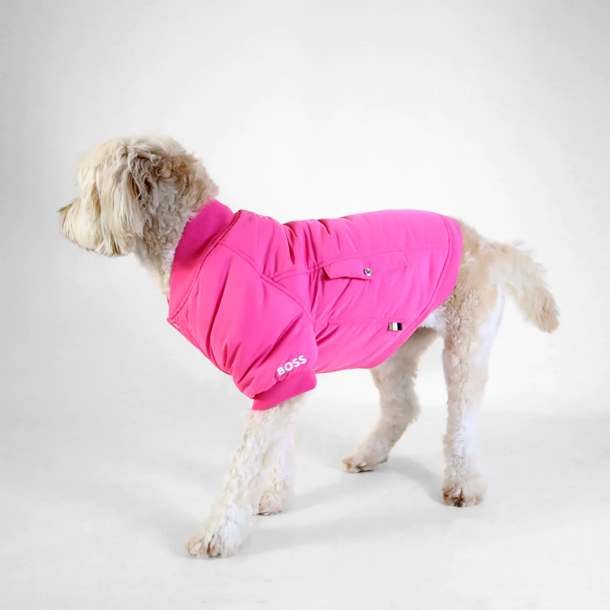 BOSS Buttondown Bomber Jacket