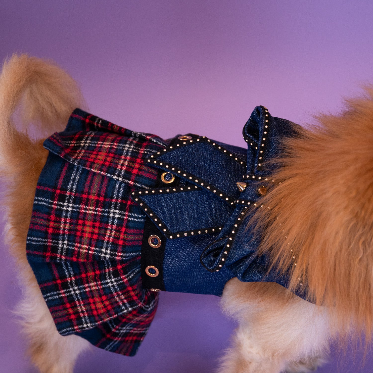 School of Pup Dress