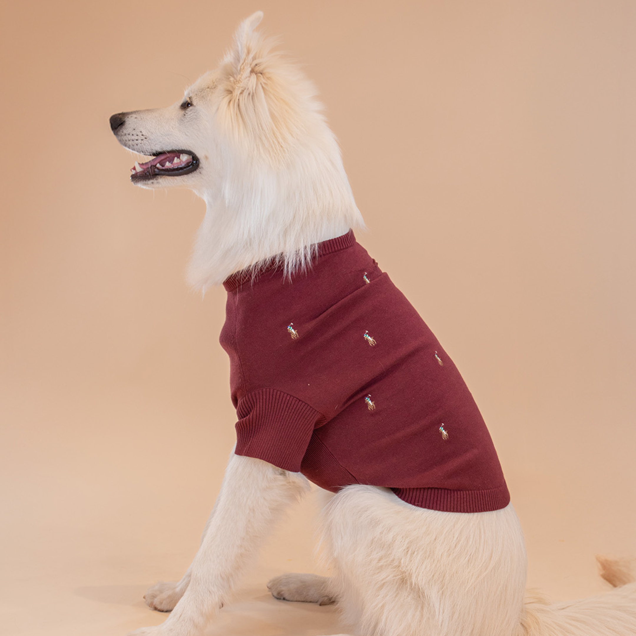 Ralph Lauren Logo Sweater