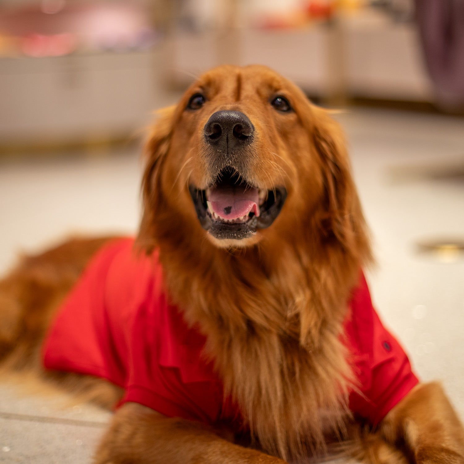 Ralph Lauren Classic Polo