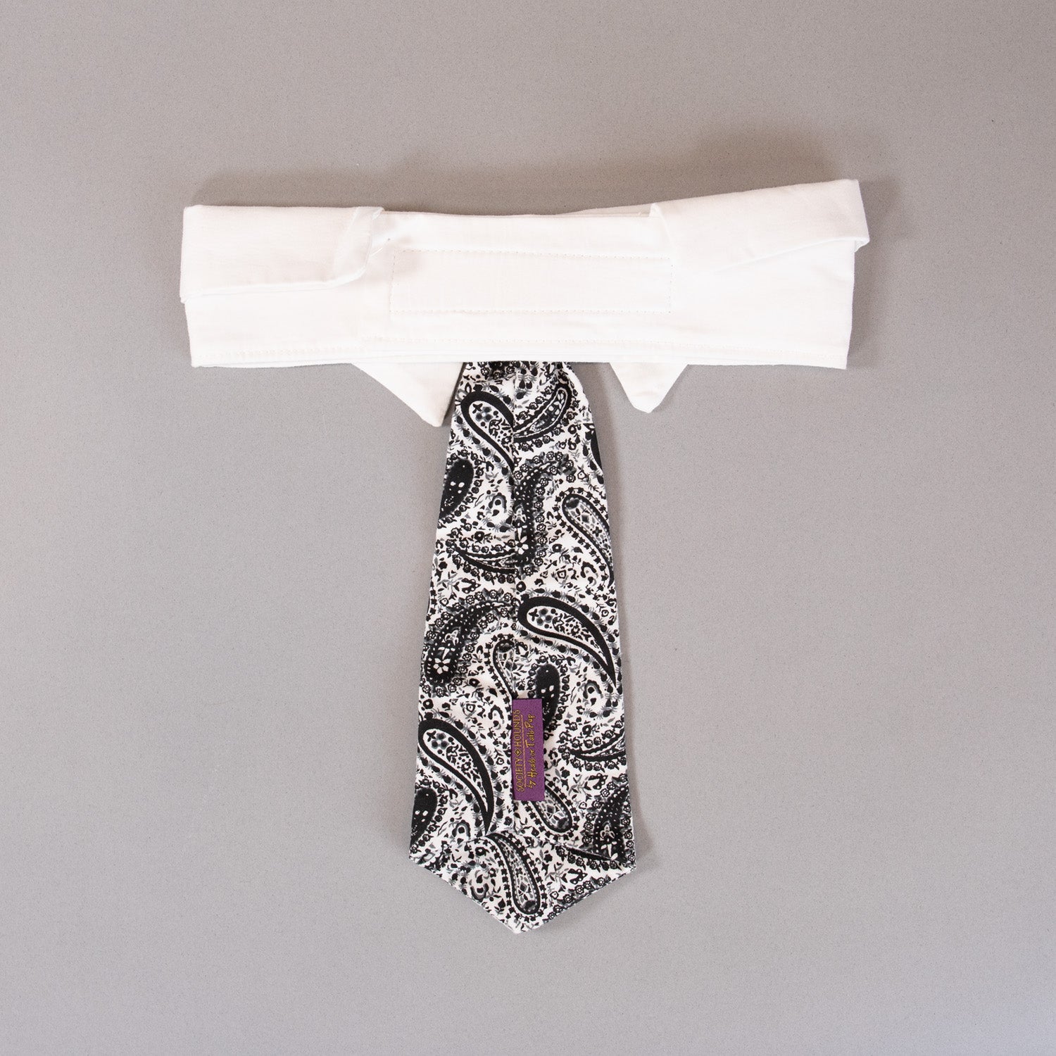 Paisley Tie
