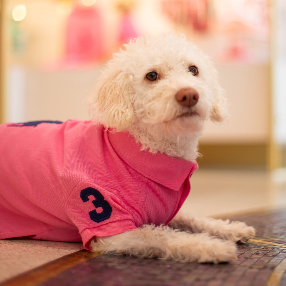 Ralph Lauren Big Pony Polo