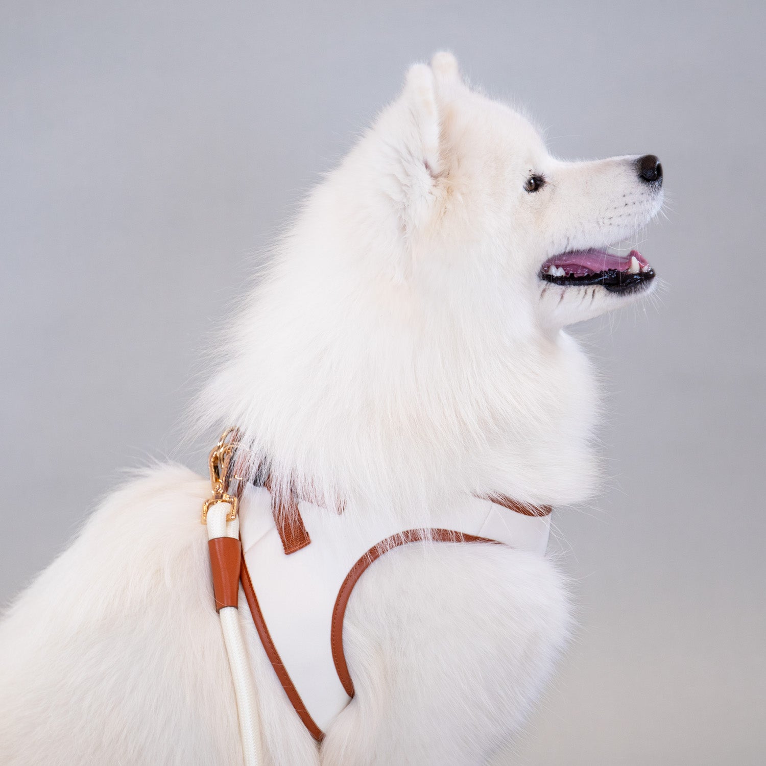 Doggie Republic Classic Harness
