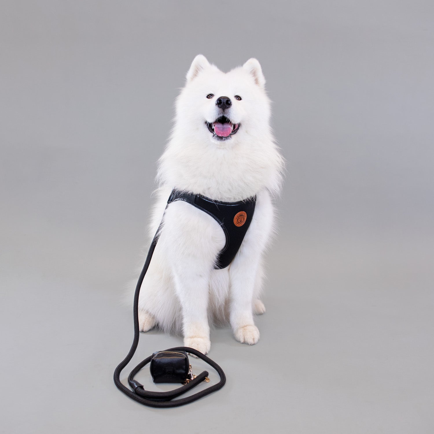 Doggie Republic Classic Harness