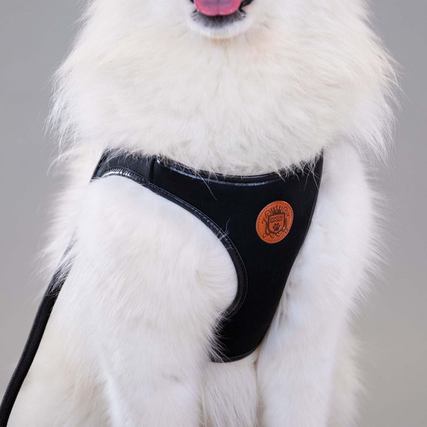 Doggie Republic Classic Harness