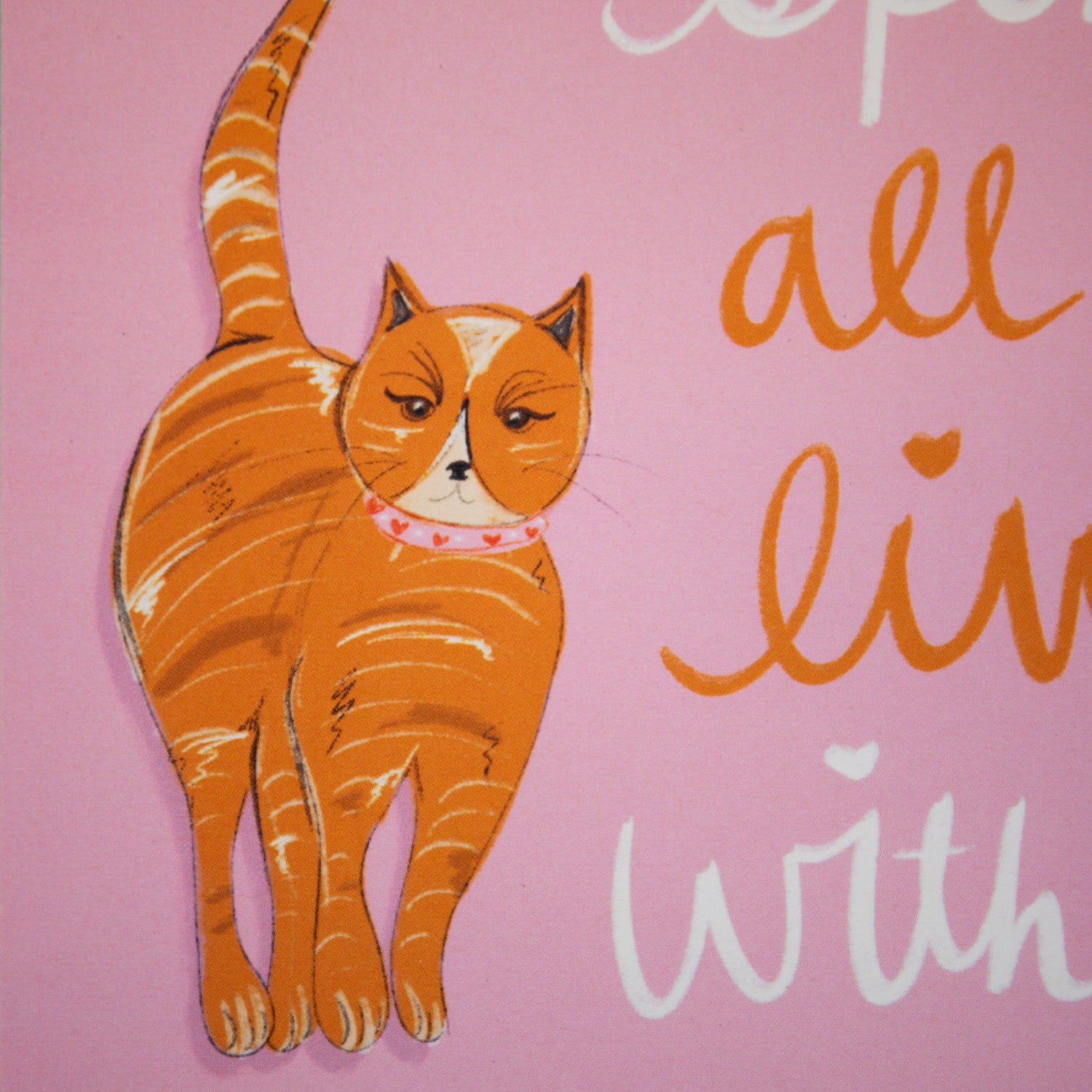 Nine Lives Tabby Cat Greeting Card
