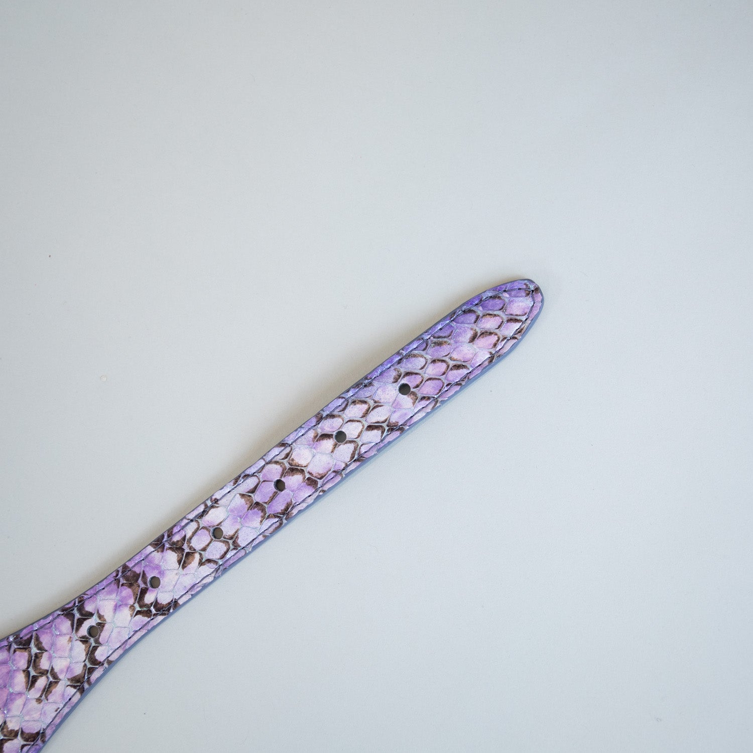 Monarch Snakeprint Collars