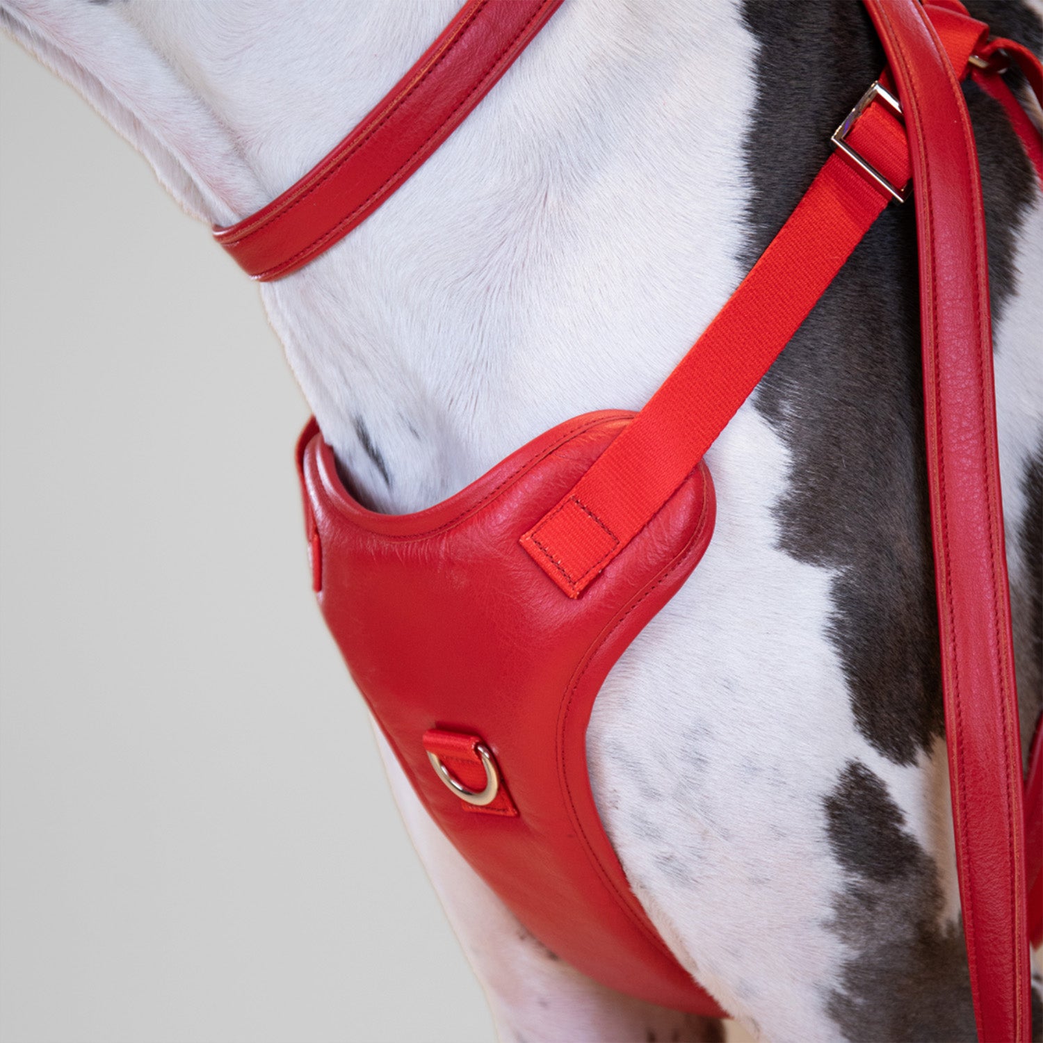 The Original Harness