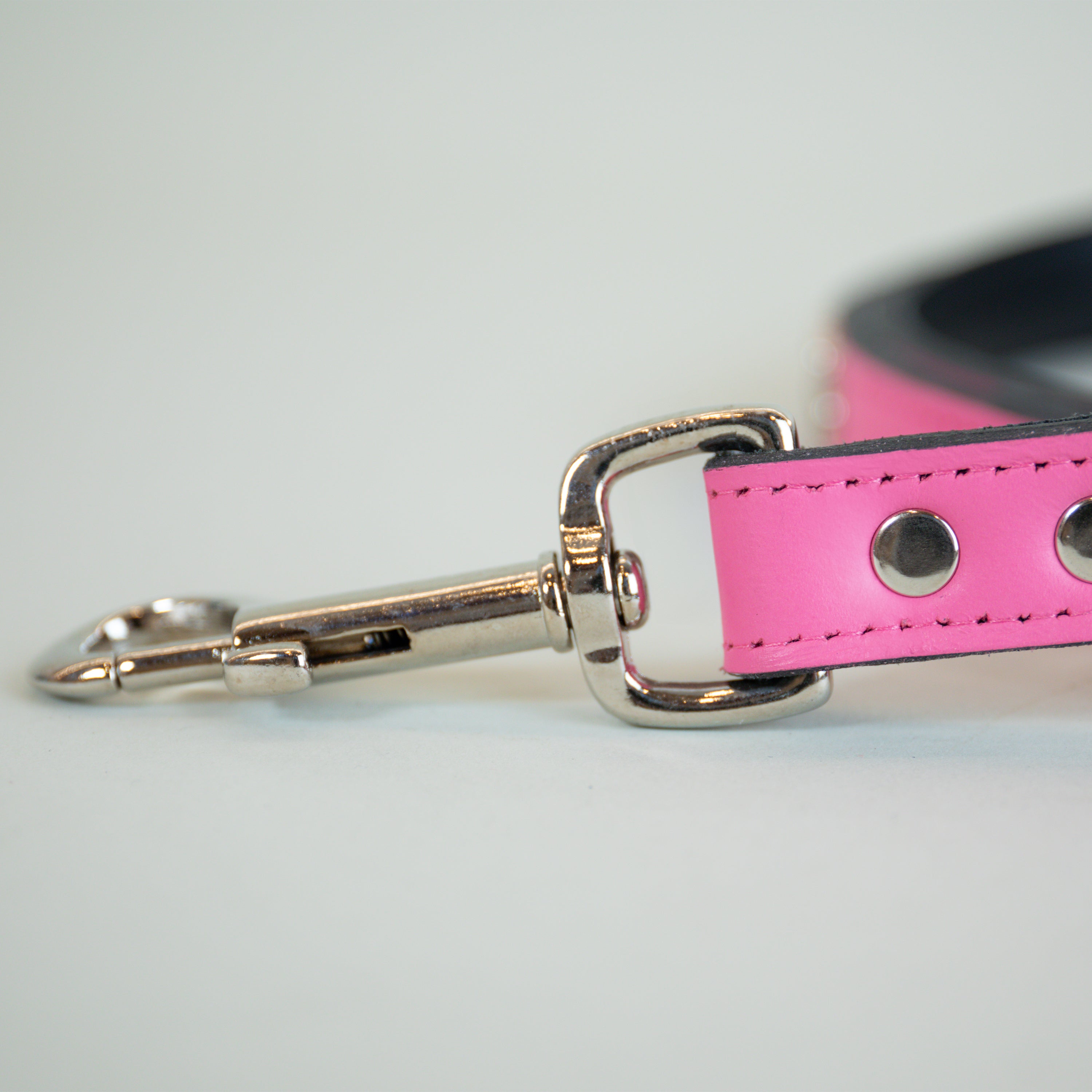 Burning Magnolia Leash