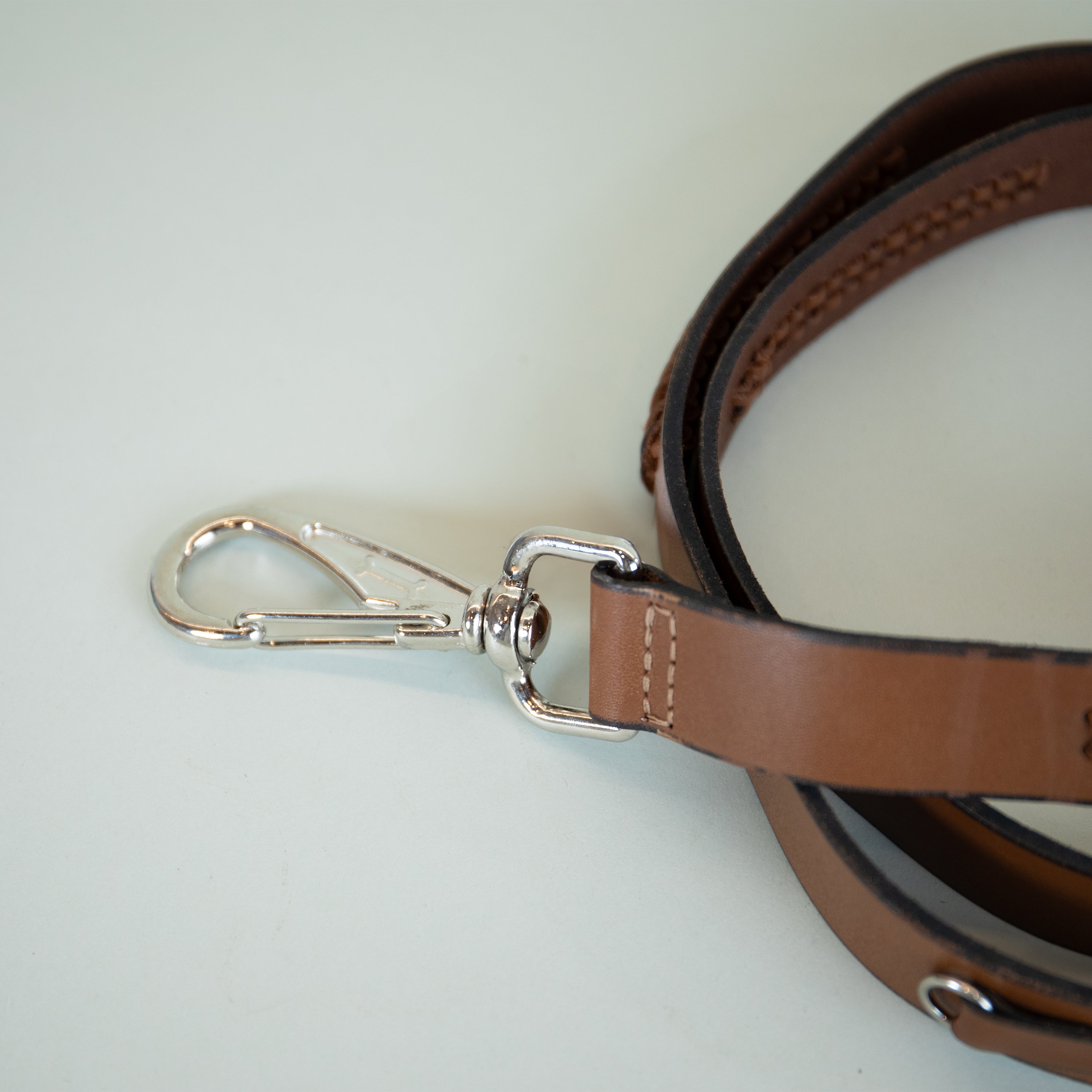 Boho Braided Leash