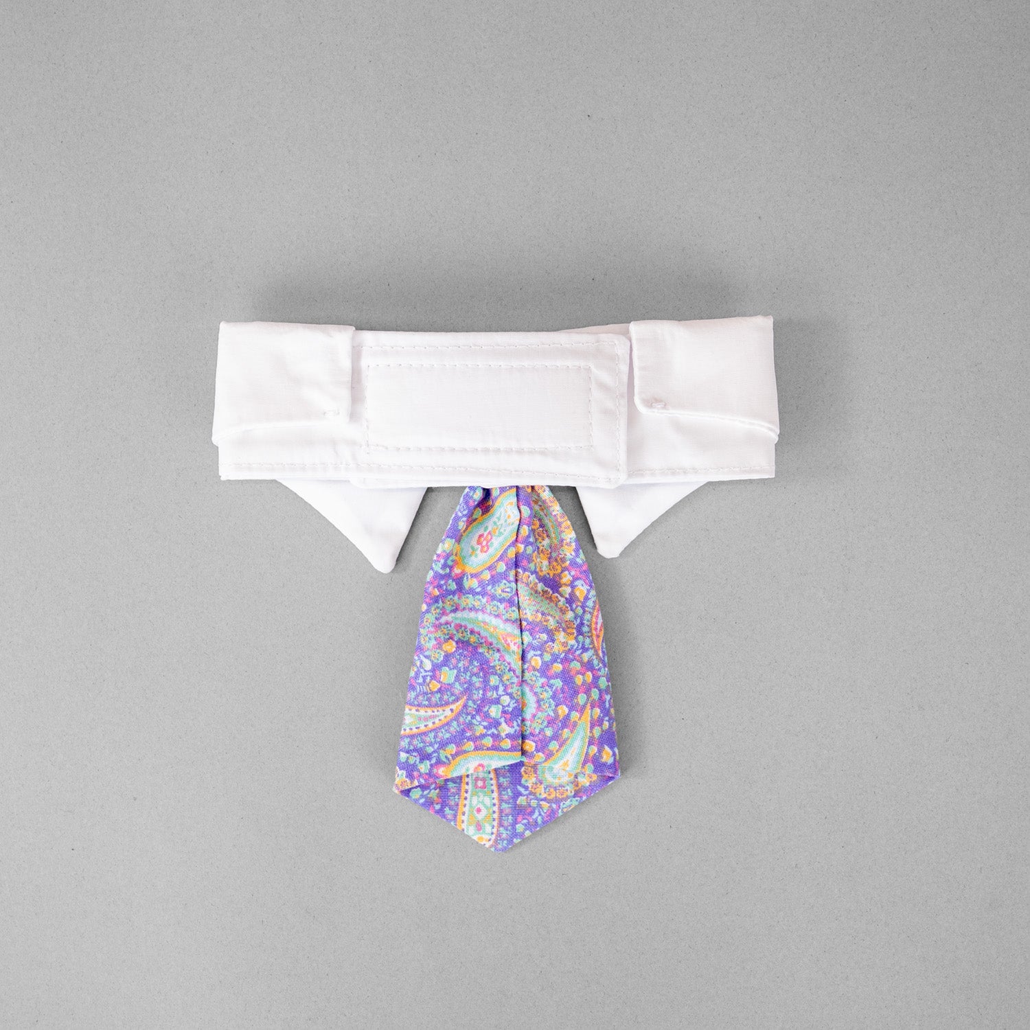 Paisley Tie