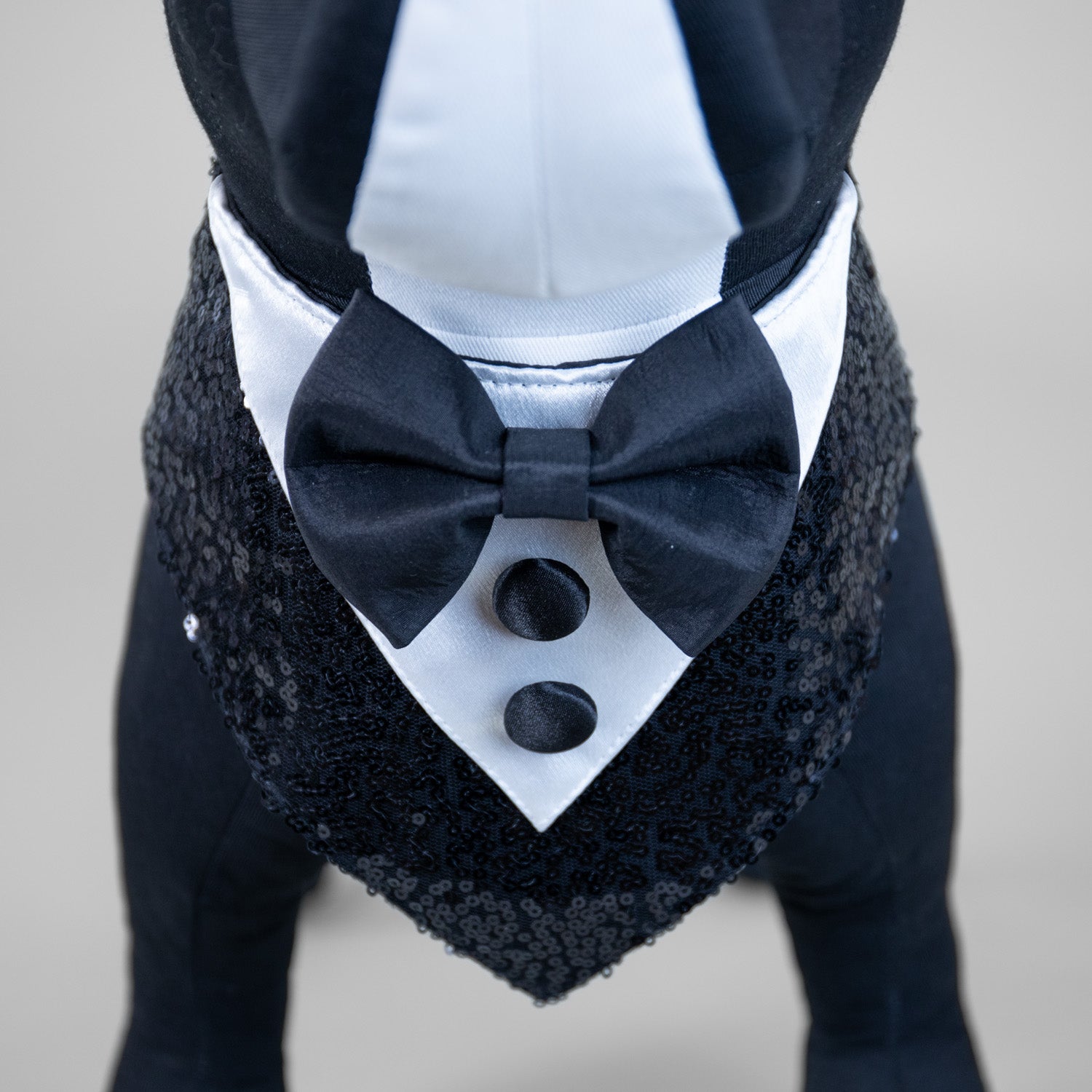D'EGOT Tux Bandana