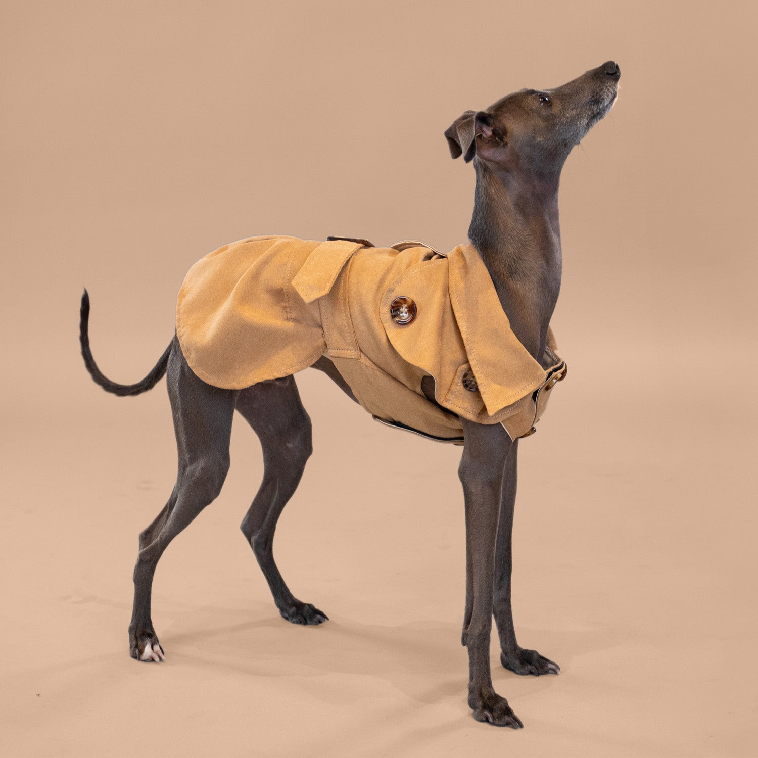 Sweetheart Suede Overcoat