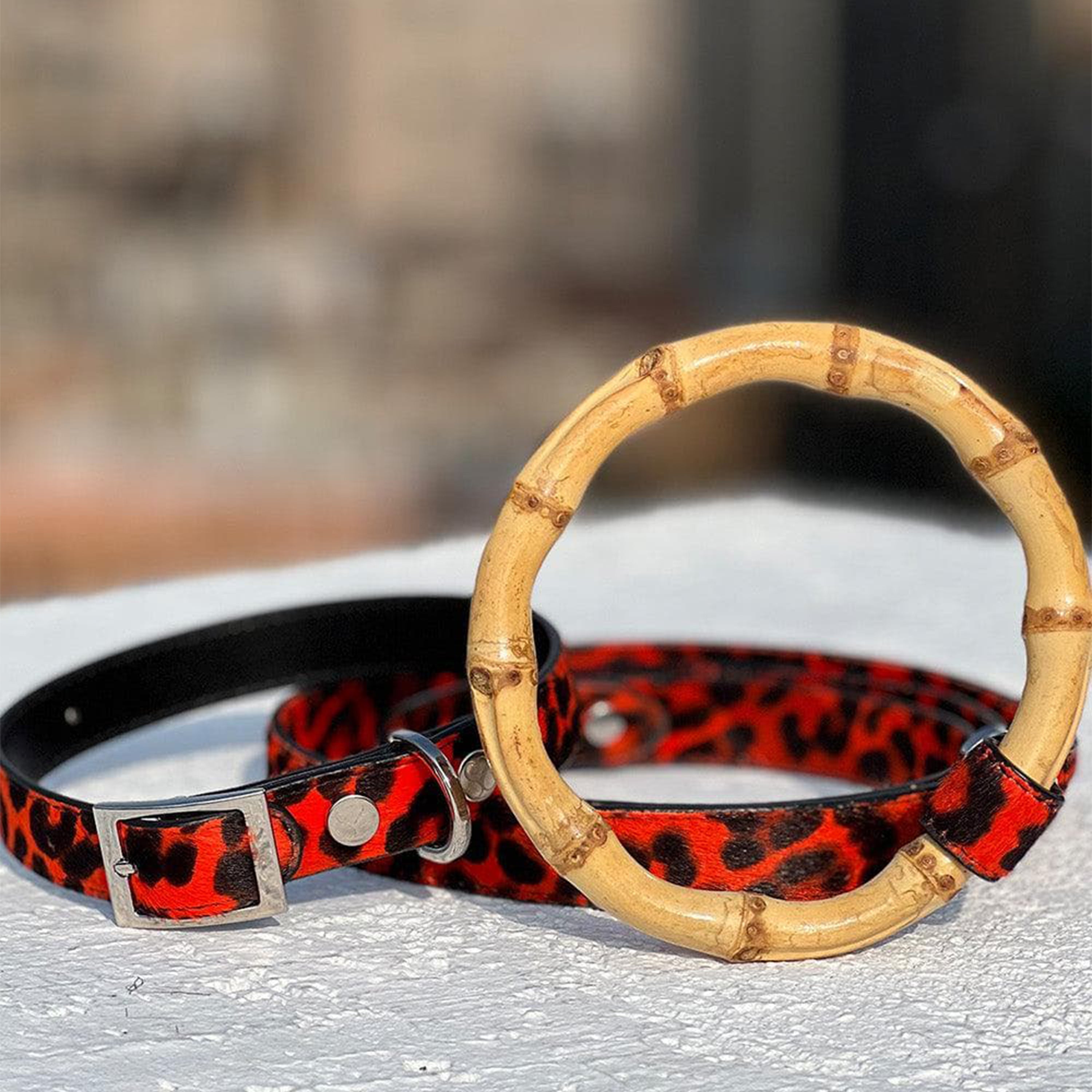 Leopardo Italian Collar