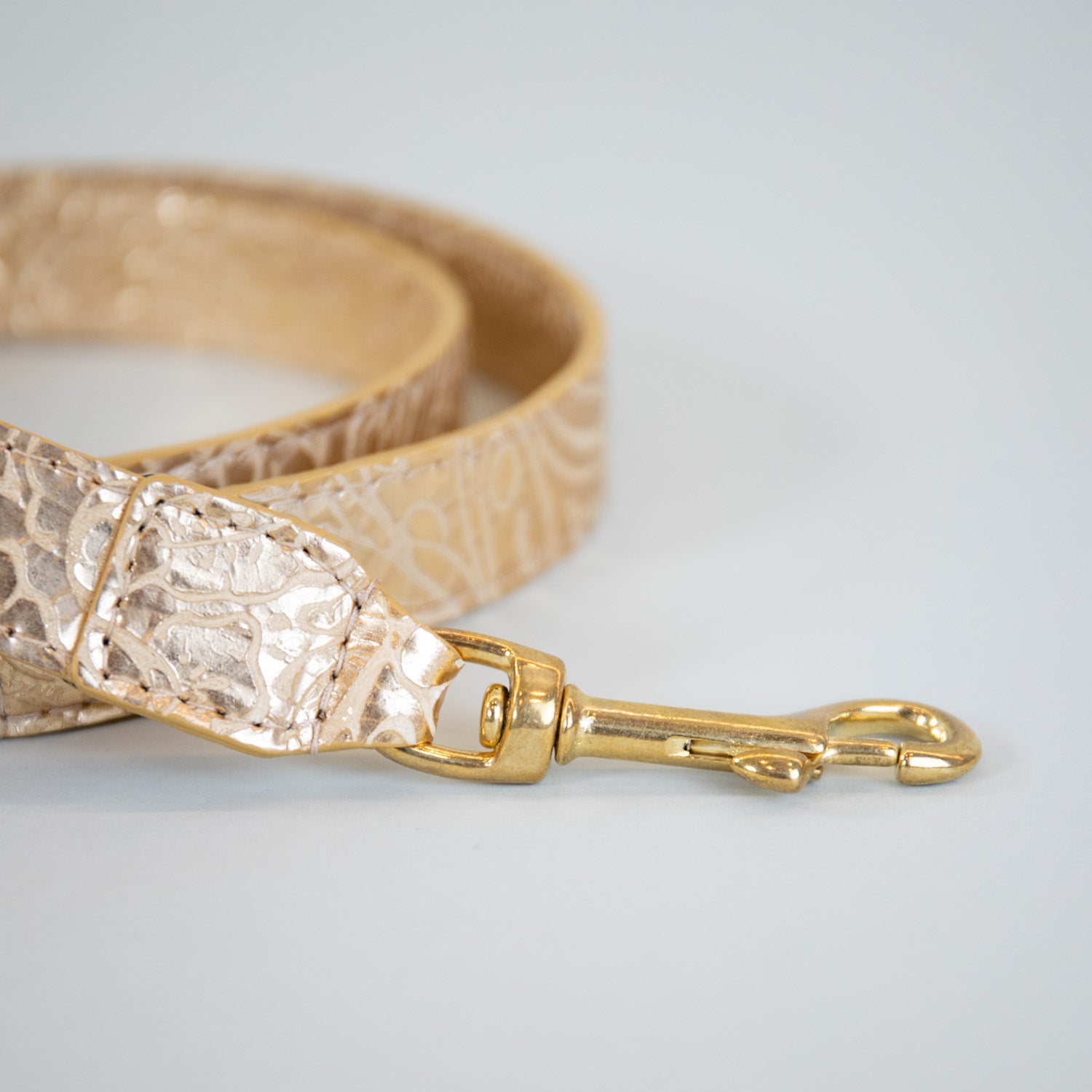 Chromatic Garden Leash