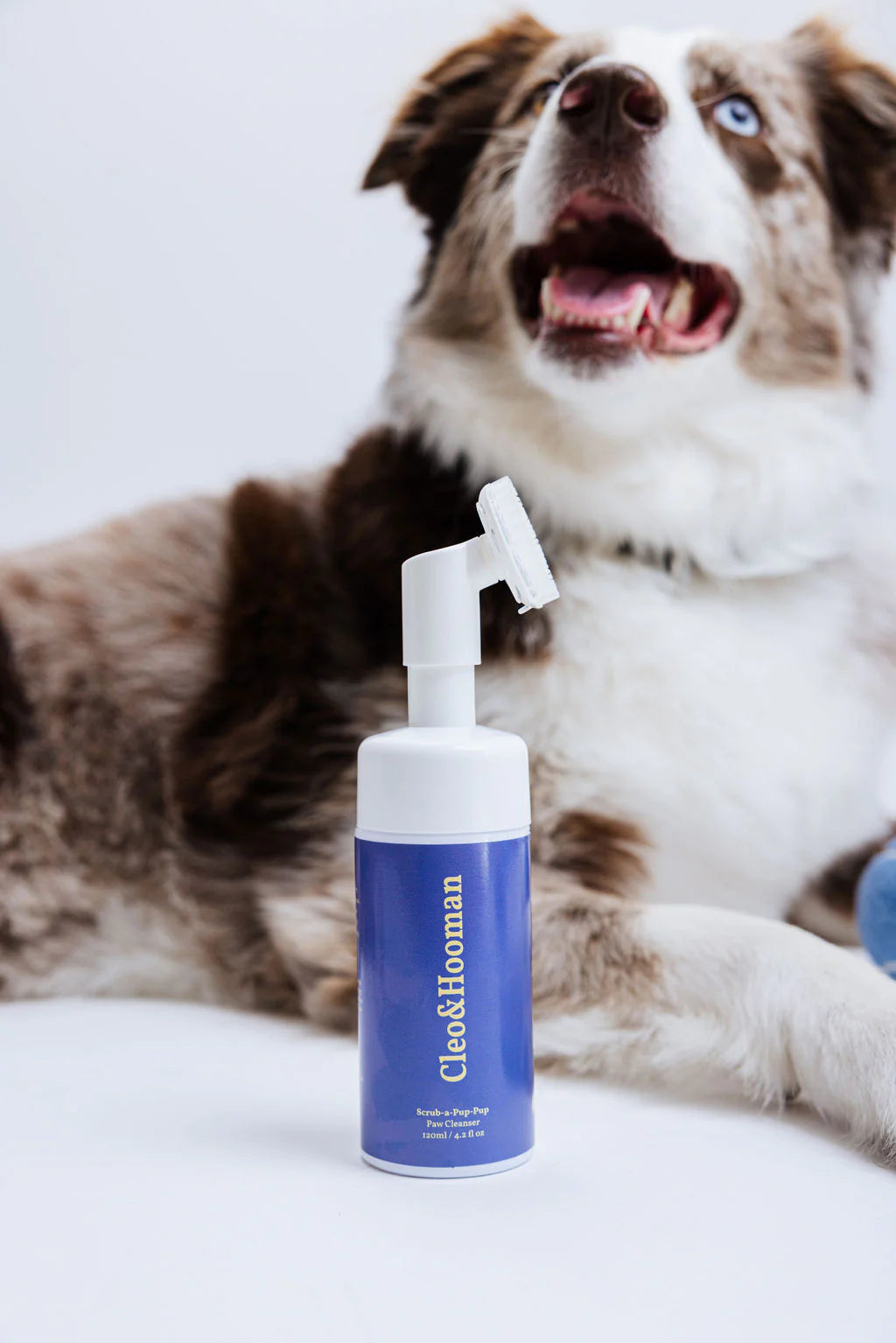 Scrub-a-Pup-Pup Paw Cleanser