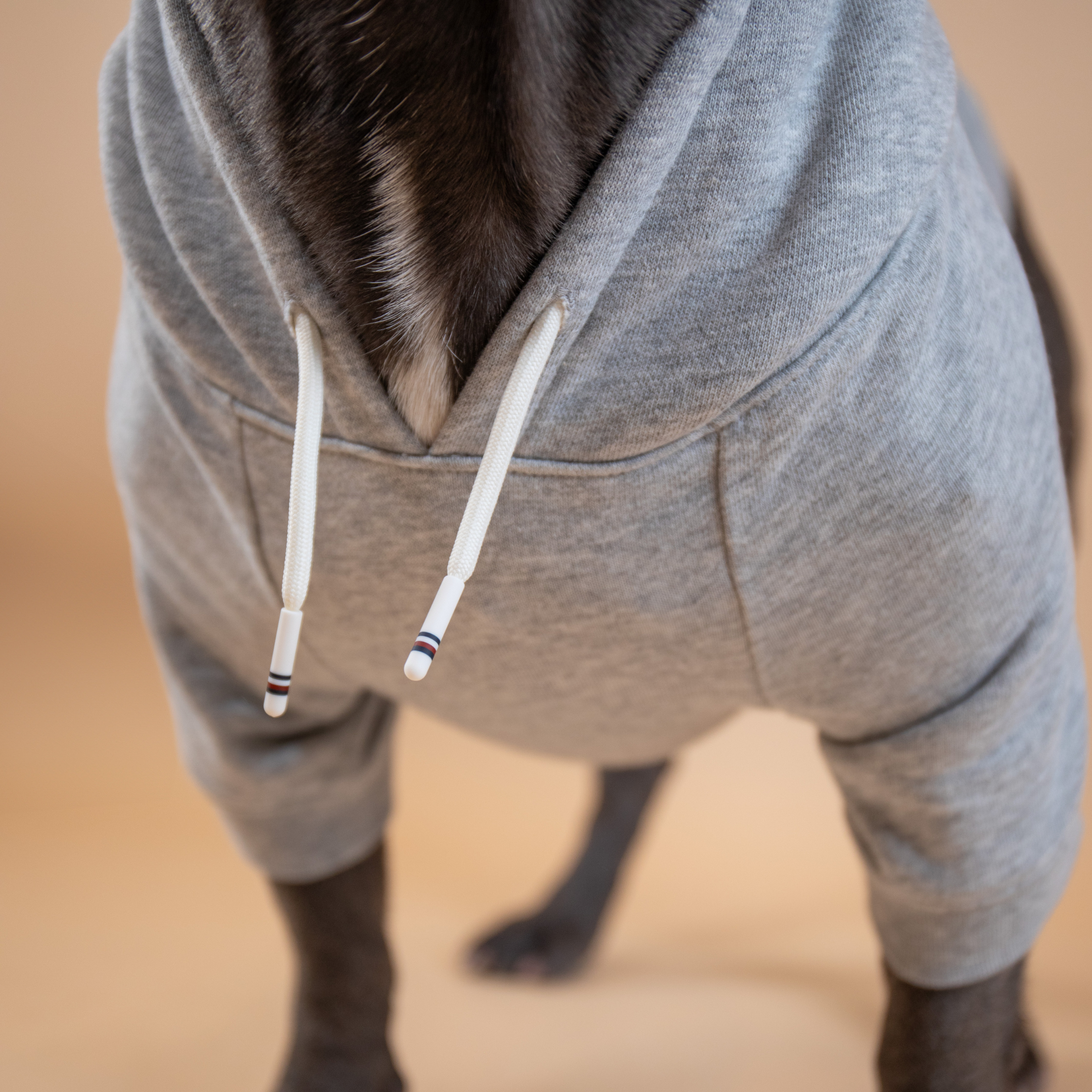 Tommy Hilfiger Signature Stripe Hoodie