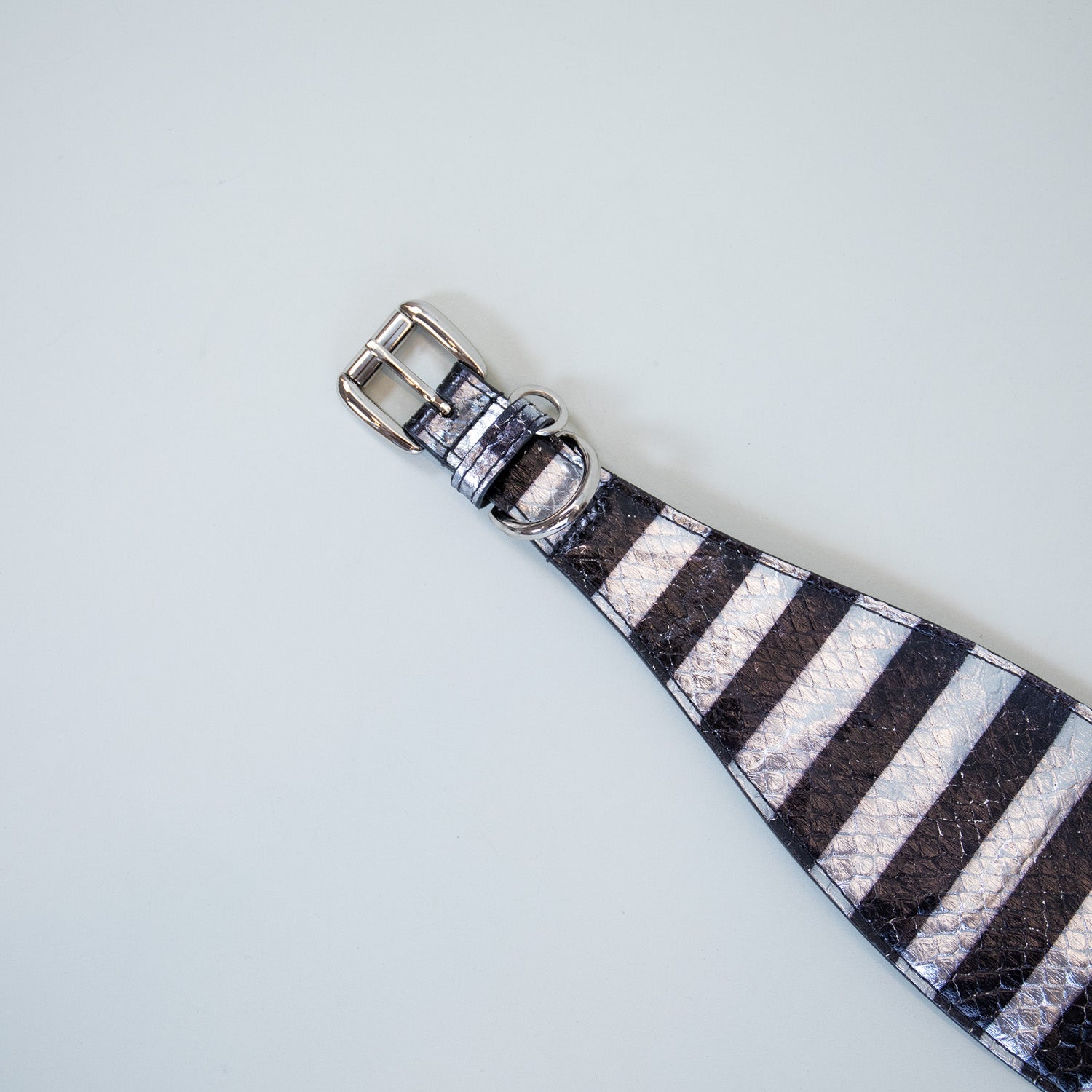 Zebra Crossing Leather Collars
