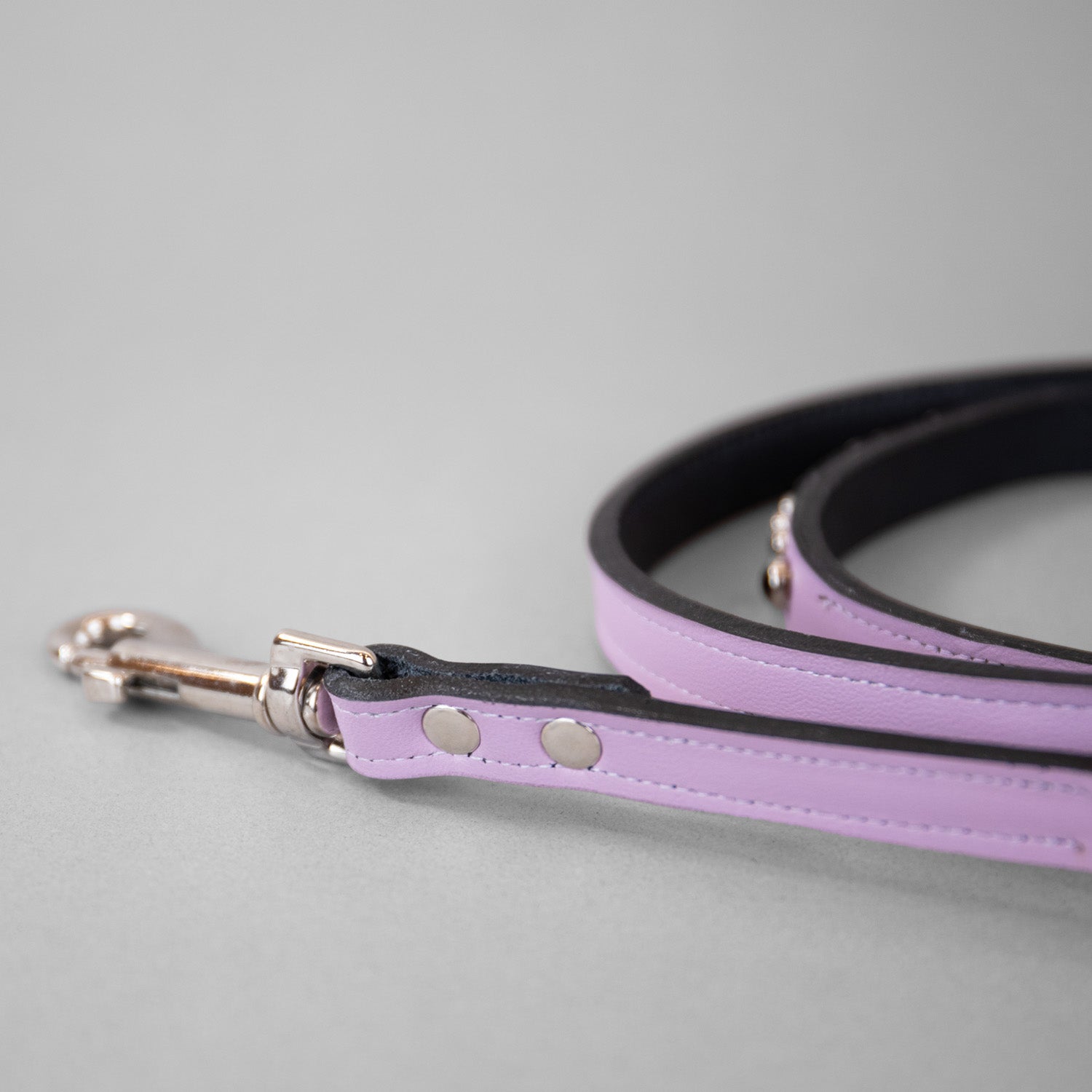 Wonders of the World Leashes