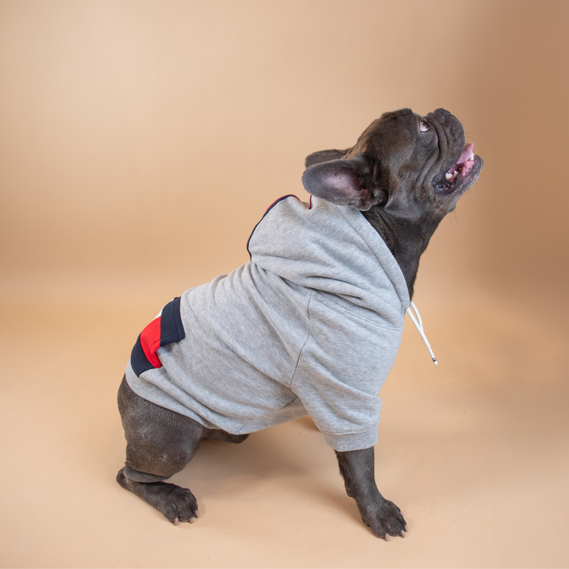 Tommy Hilfiger Signature Stripe Hoodie