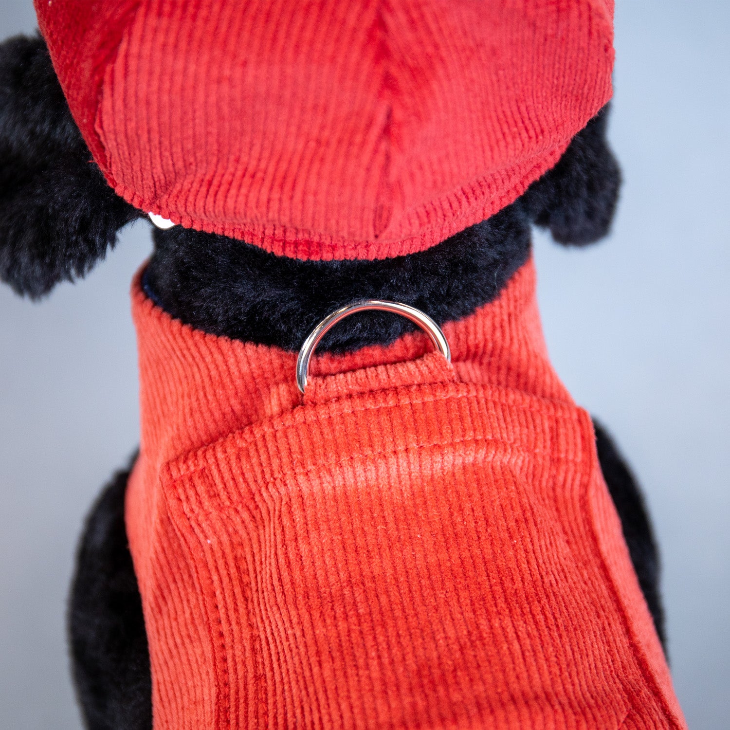 Cozy Corduroy Harness