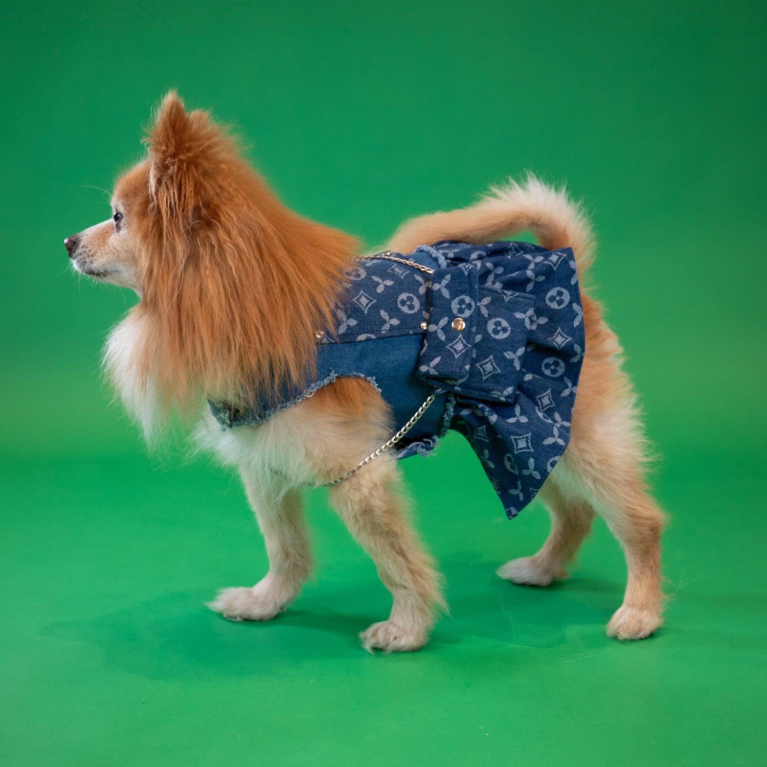 Studded Celtic Dress