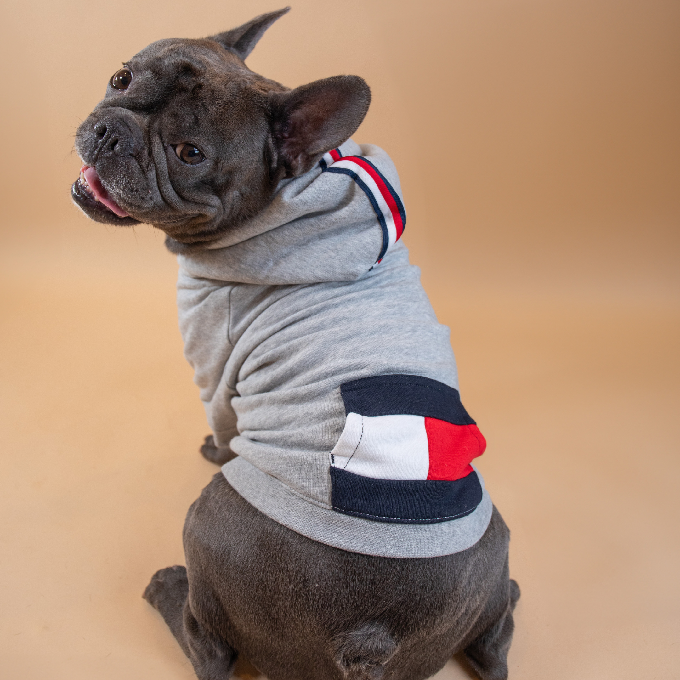 Tommy Hilfiger Signature Stripe Hoodie