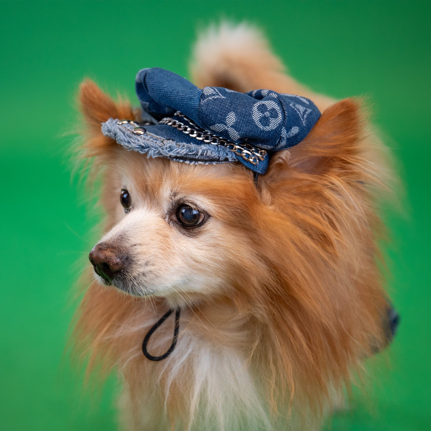 Studded Celtic Hat