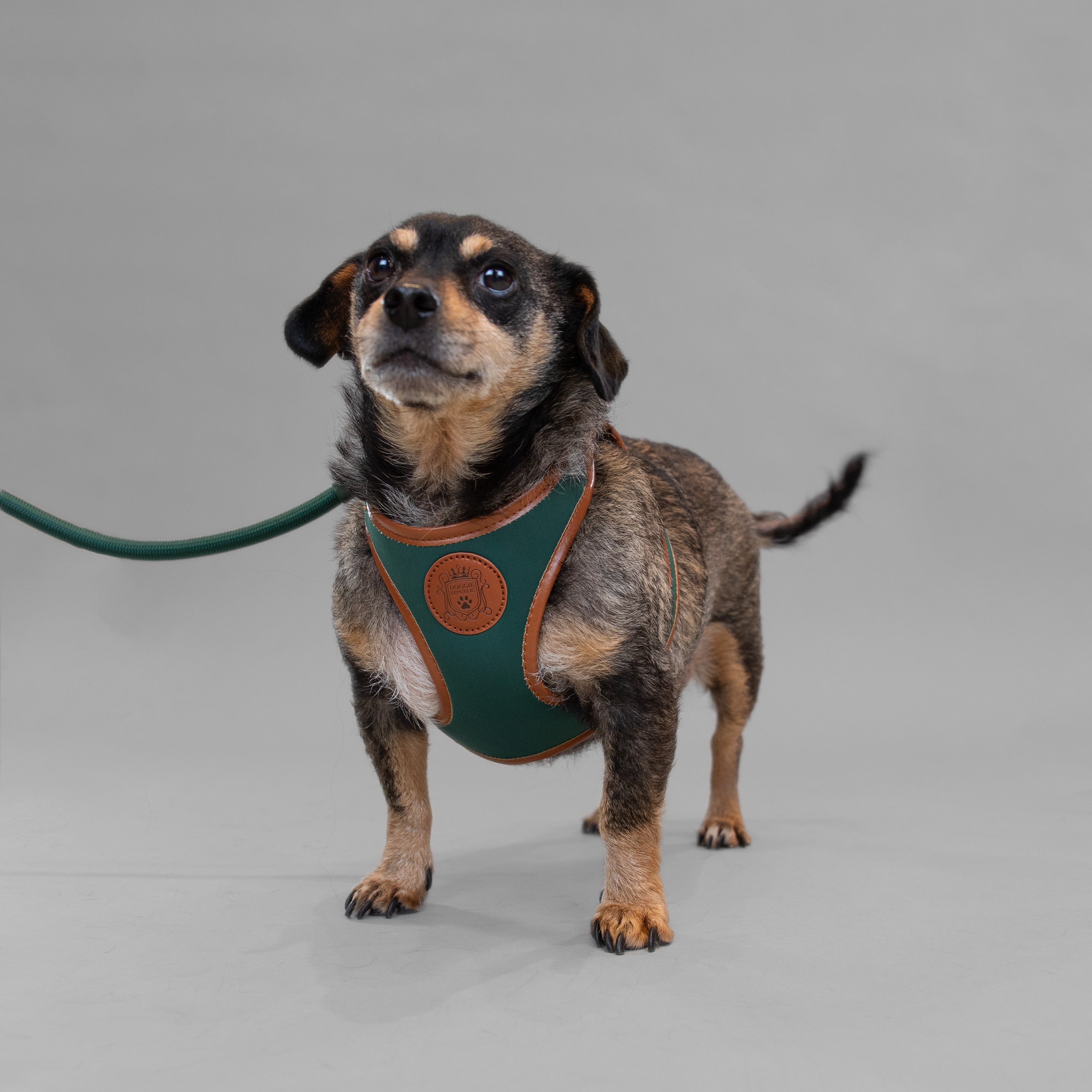 Doggie Republic Classic Harness