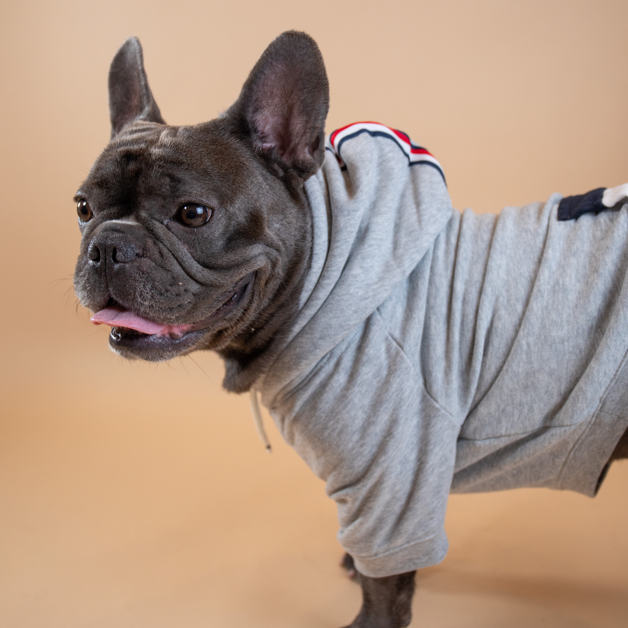 Tommy Hilfiger Signature Stripe Hoodie