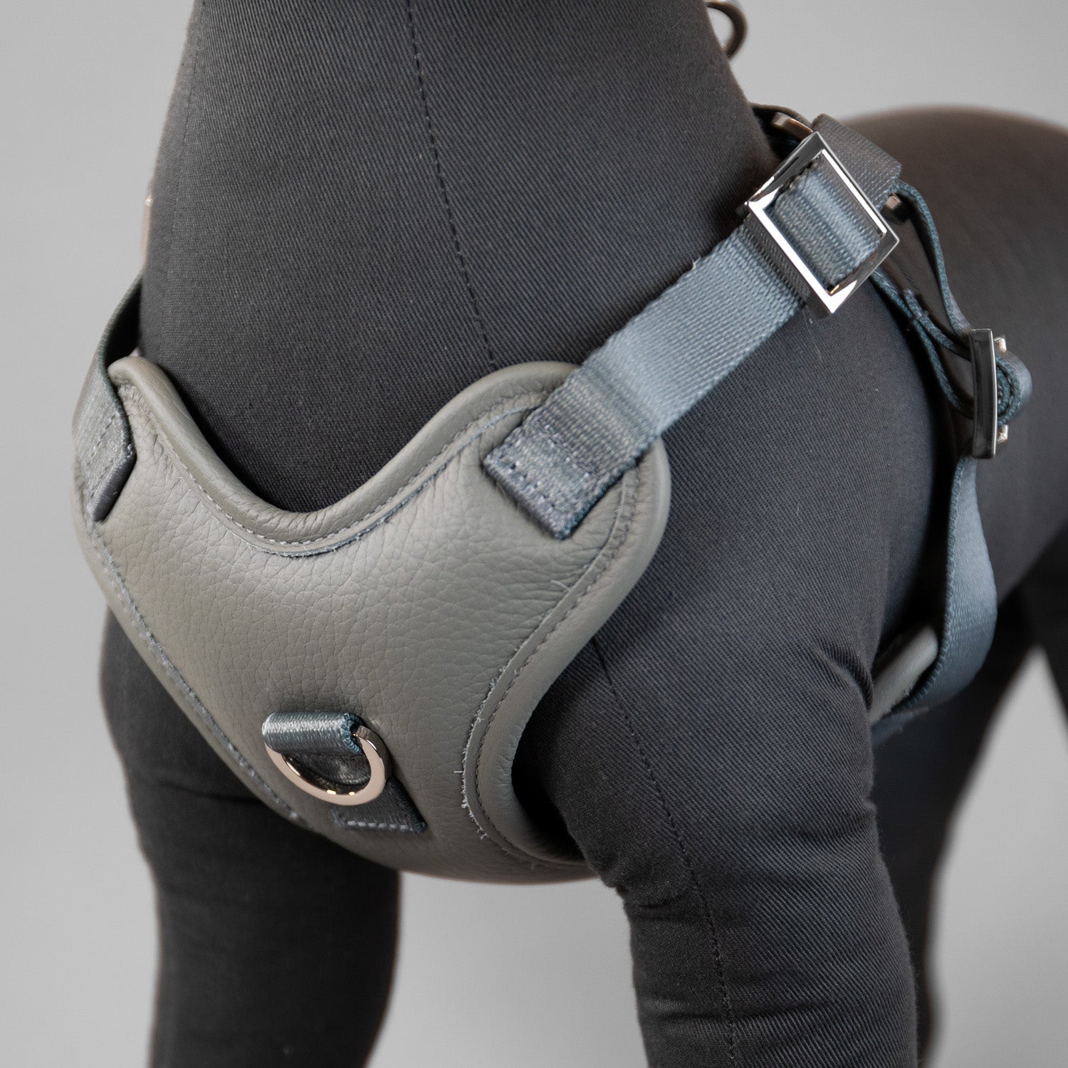The Original Harness