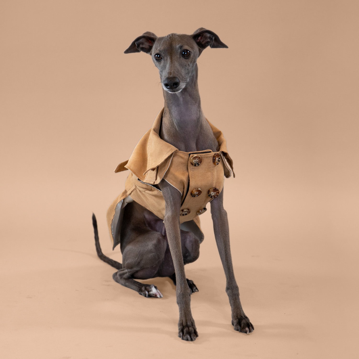 Sweetheart Suede Overcoat