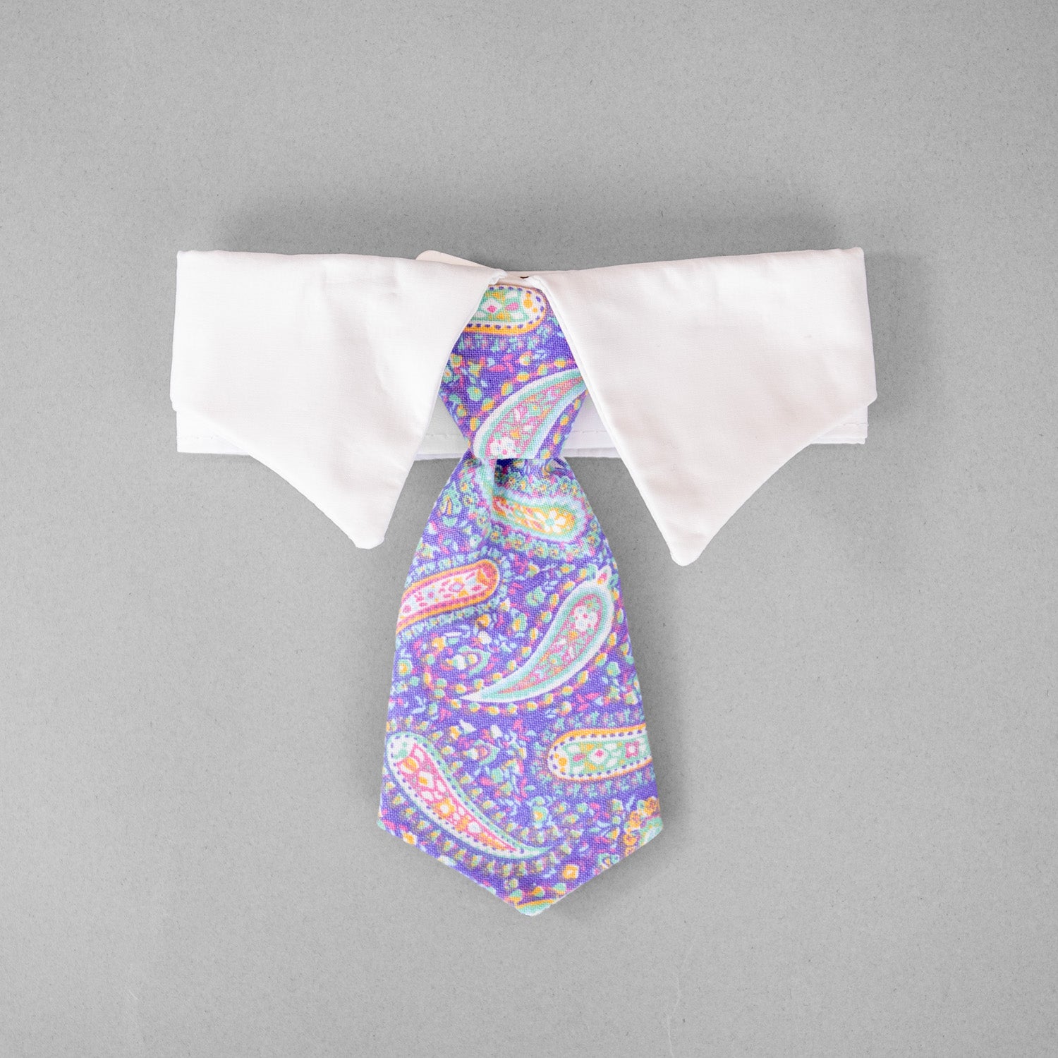 Paisley Tie