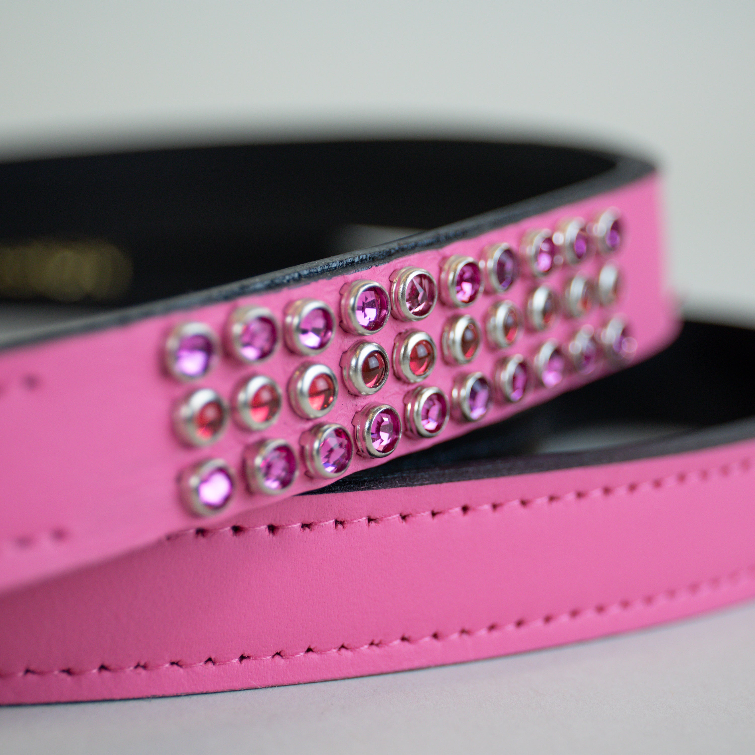 Burning Magnolia Leash