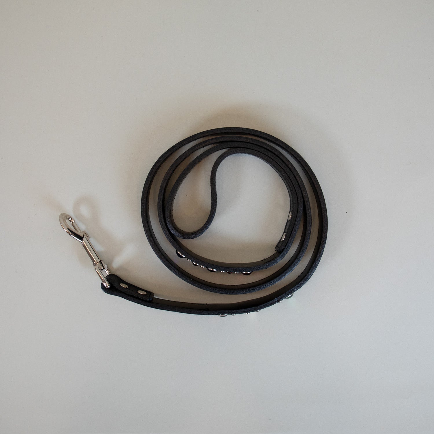 Lucky Charm Leash