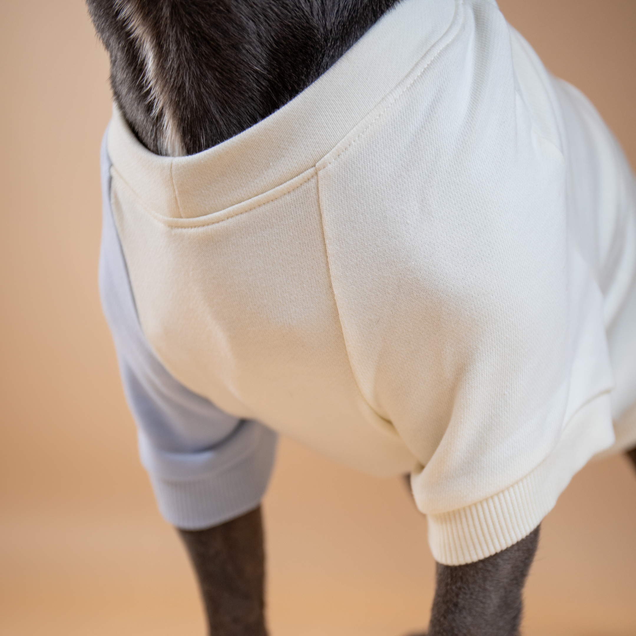 Tommy Hilfiger Color-Block Crew