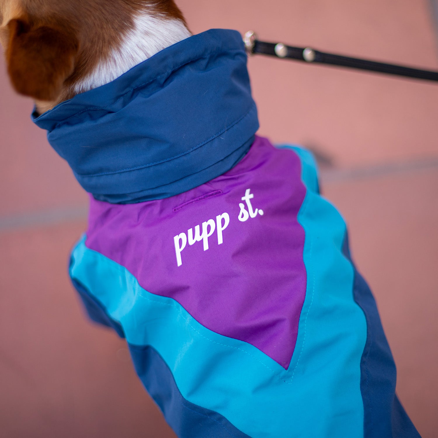 Domino Windbreaker