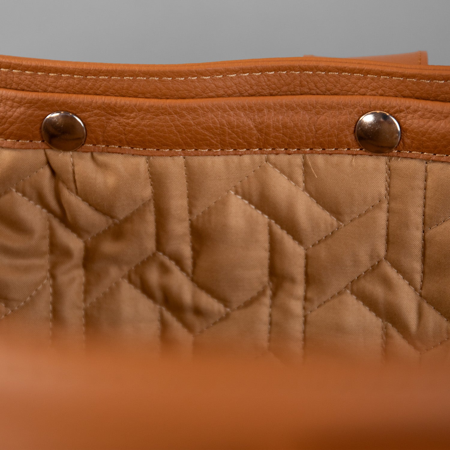 The Pelle Frau Carrier