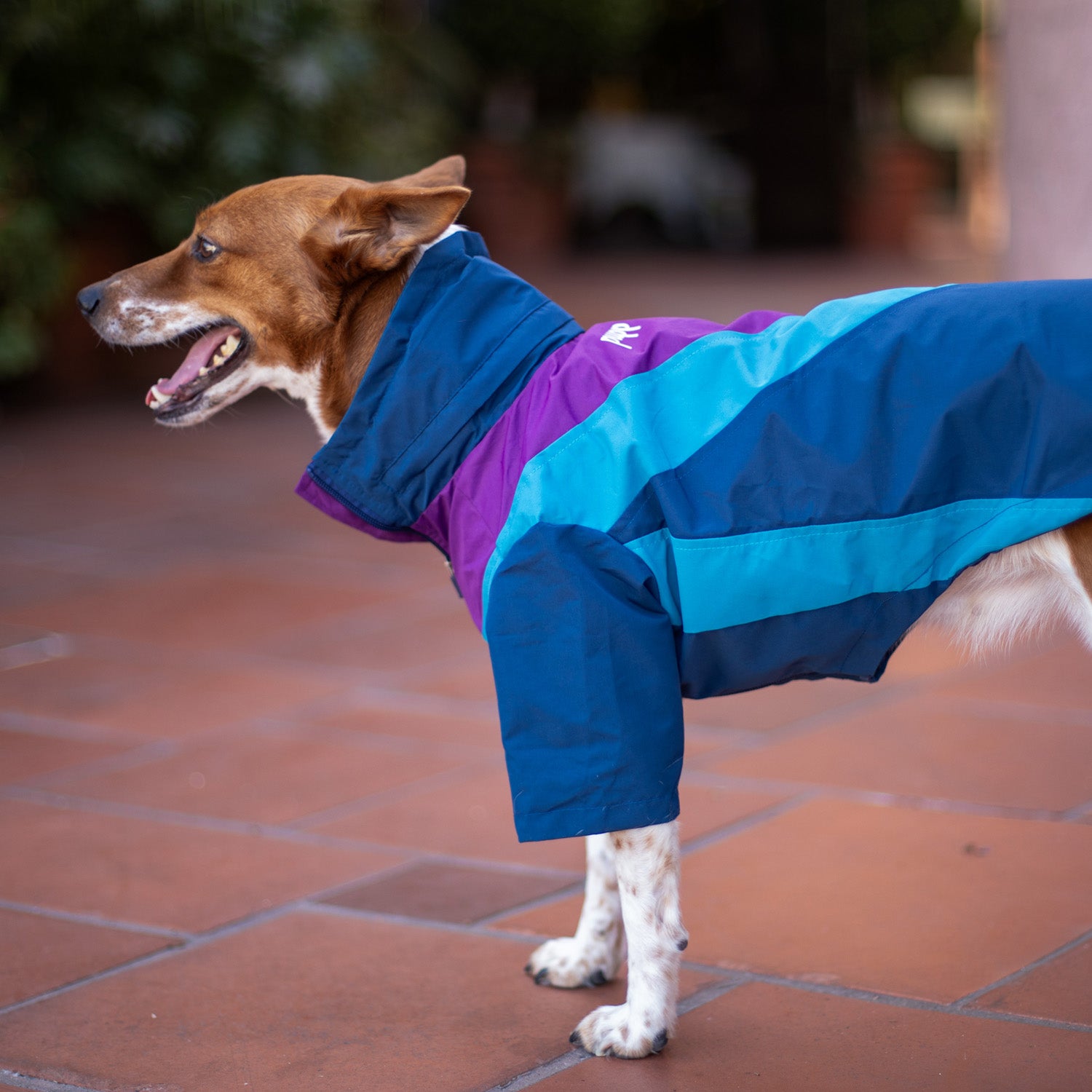 Domino Windbreaker