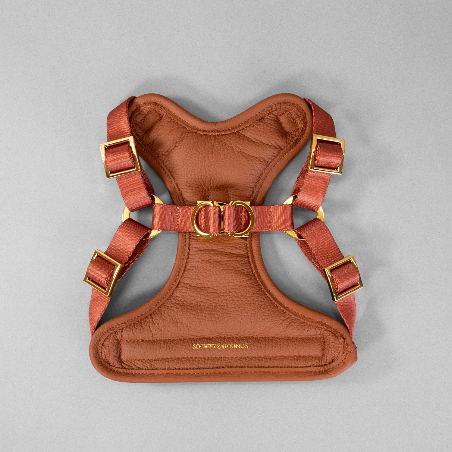 The Original Harness
