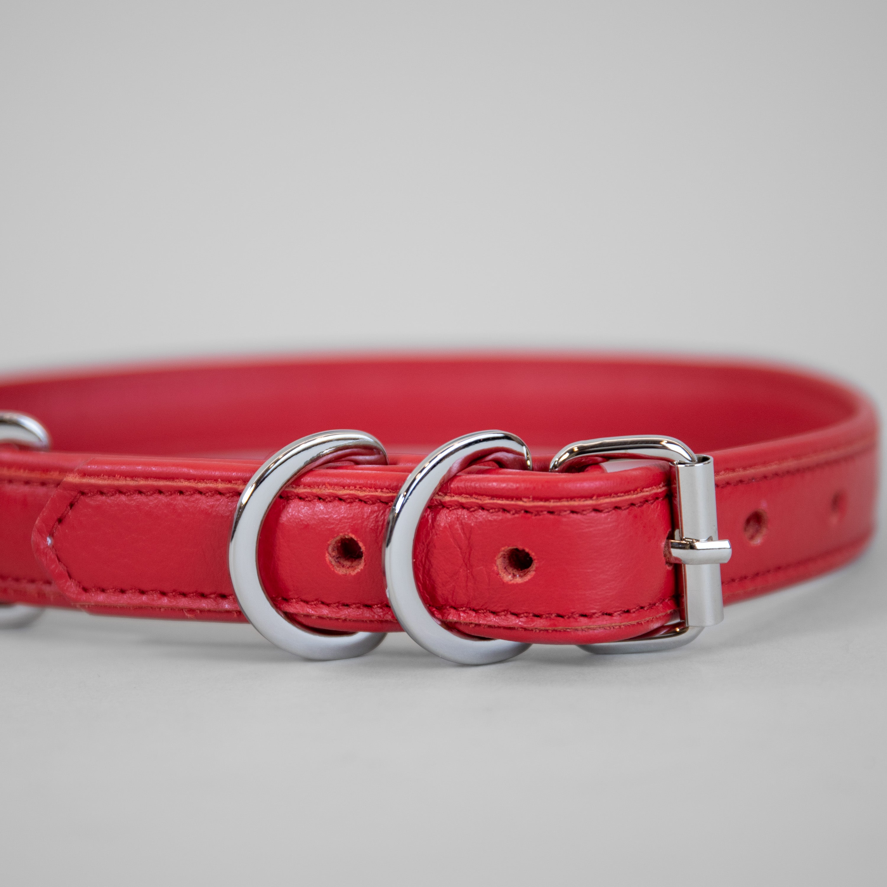 The Original Collar