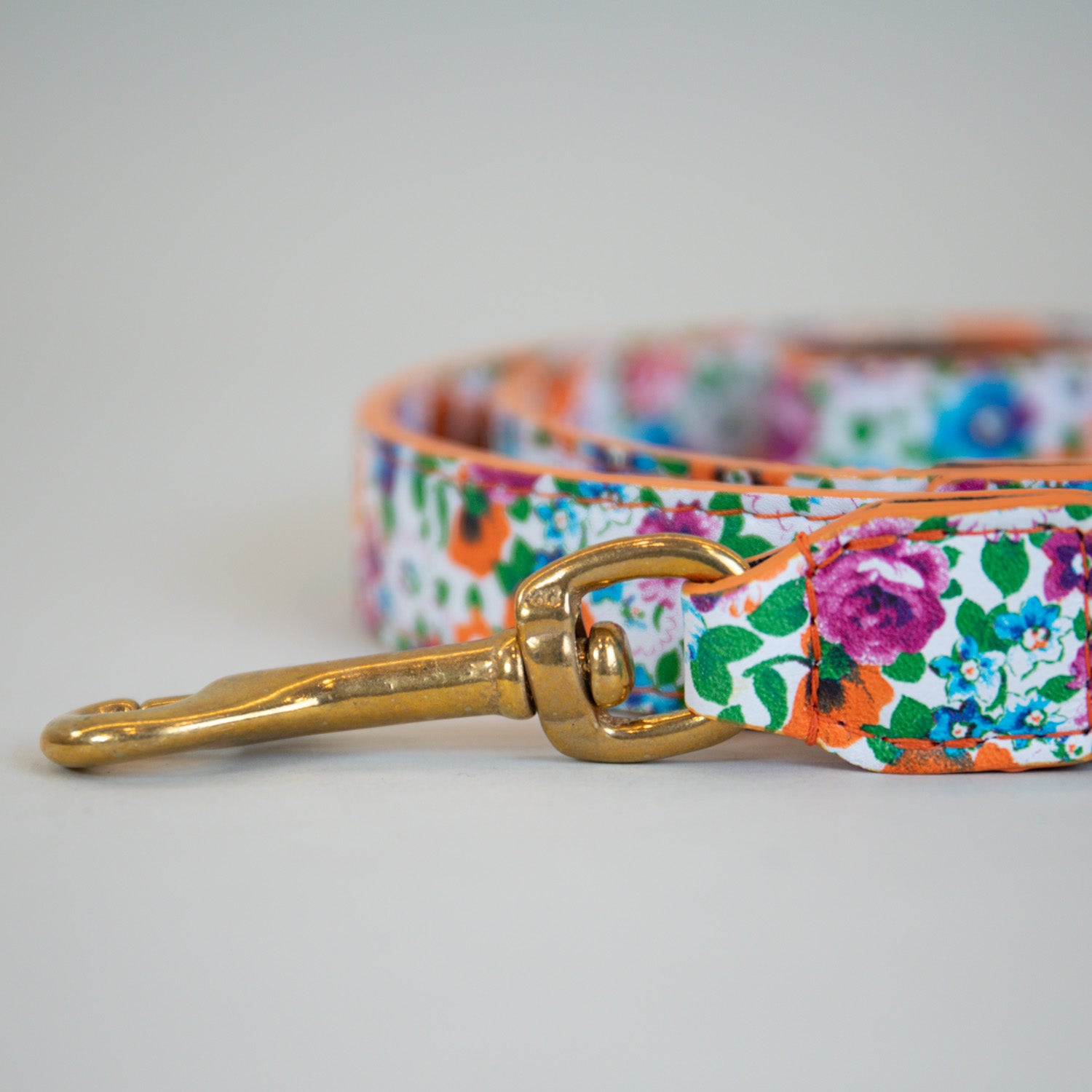 Playful Poppy Leashes