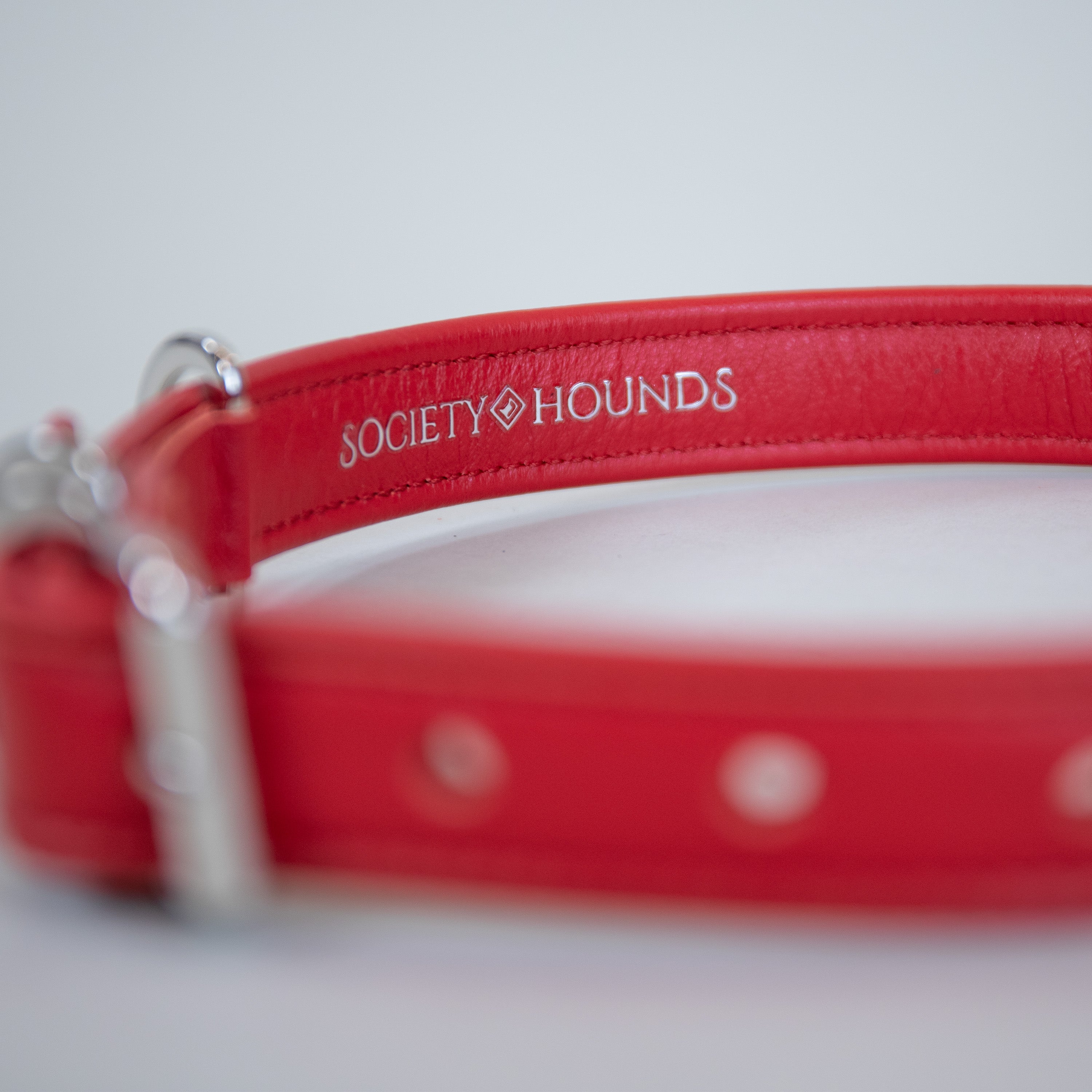 The Original Collar