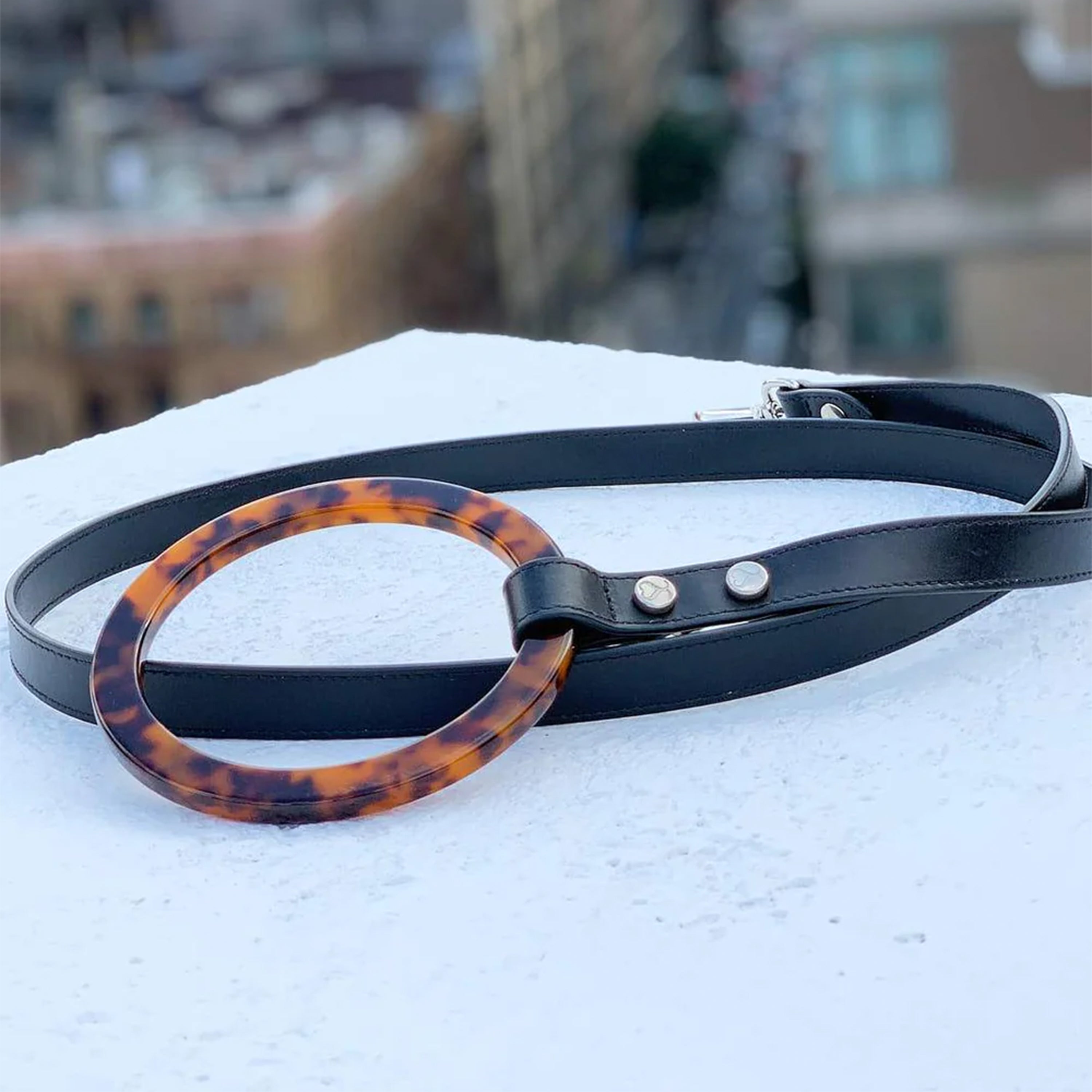 Idyllic Italian Leash