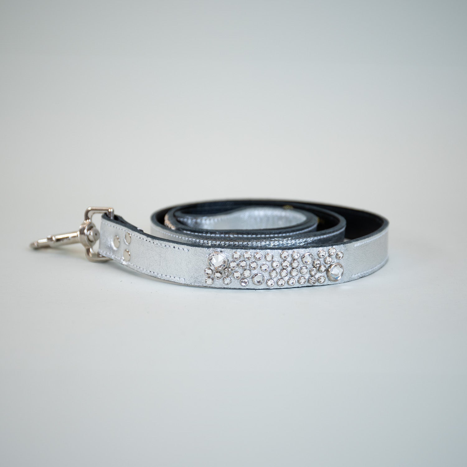 Starry Night Leashes