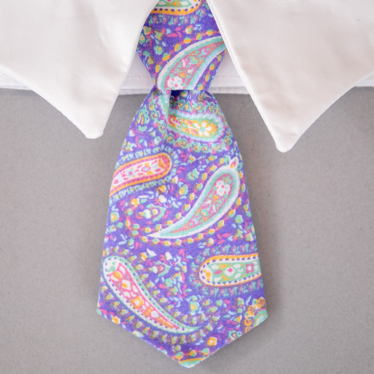 Paisley Tie