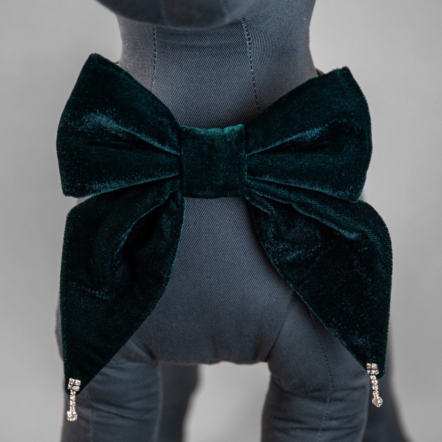 Glistening Velvet Bow