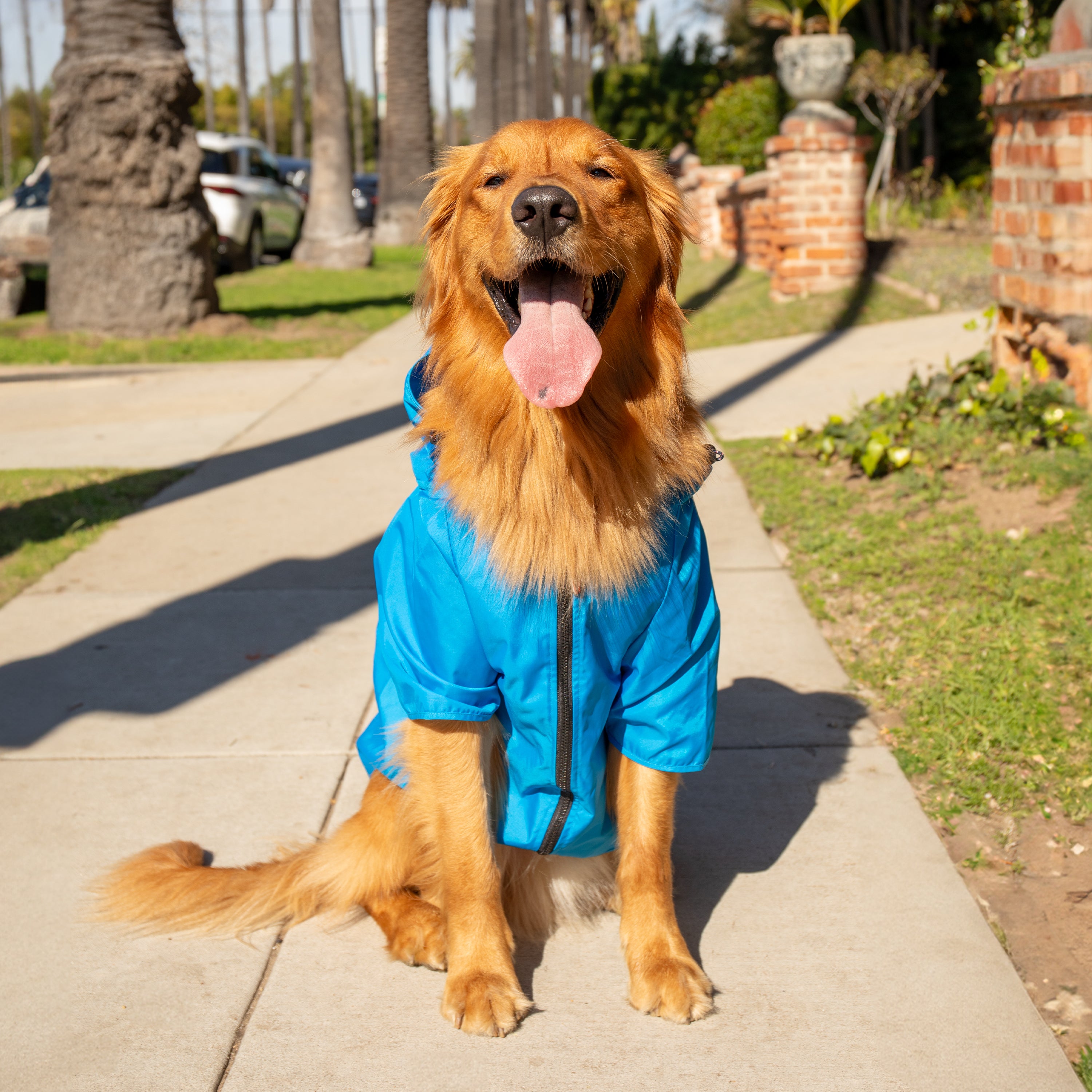 Tommy Hilfiger Raincoat